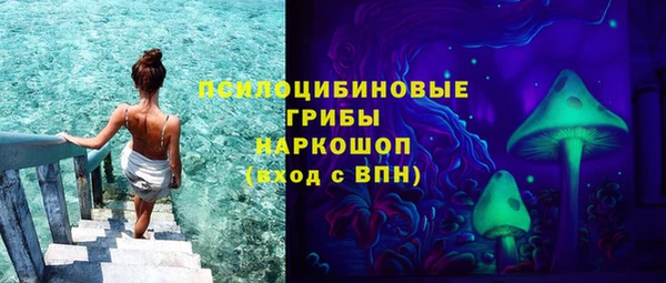 мяу мяу мука Приозерск