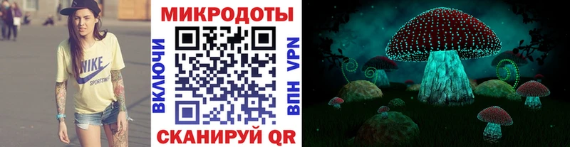 Купить где  Торопец  Галлюциногенные грибы Psilocybe 